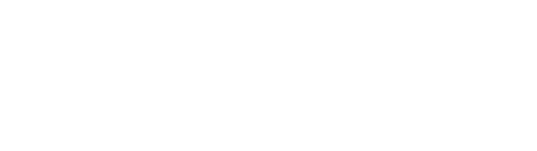 Logo Idonms